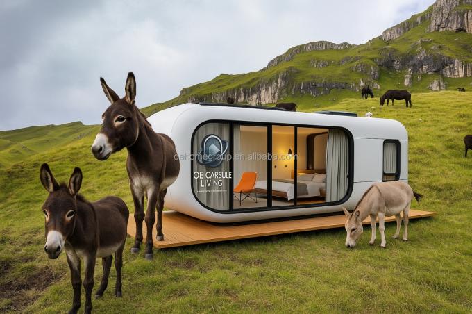 Luxuriöses 20-Fuß-Modernes Seecontainerhaus, kleines Wohnfertigteil mit Stahlkonstruktion für Hotels, Villen und Apartments 5